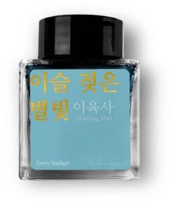 Wearingeul Lee Yuk Sa - Dewy Starlight 30ml